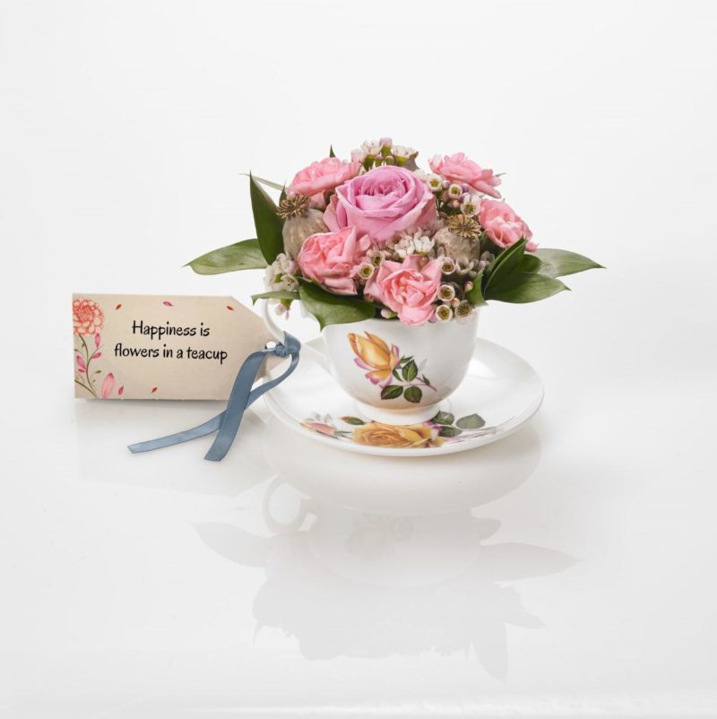 thumbnail_TCY129157_TEACUPS_TAG_happiness