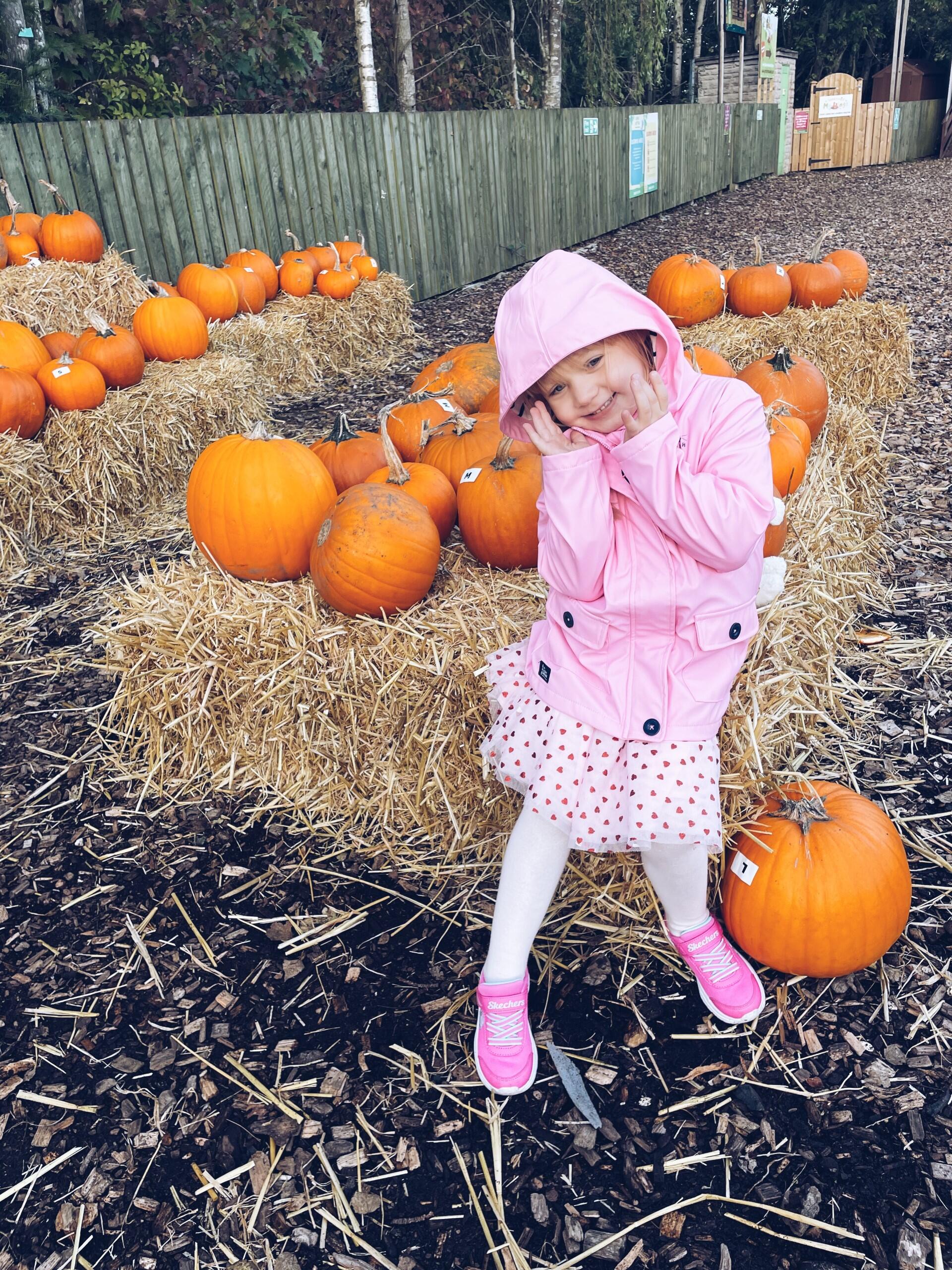 An Autumnal Day Out at Tong Garden Centre Remie's Luxury Blog